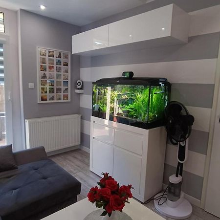 Apartament Rodzinny Z Ogrodkiem W Centrum Gizycka 기지크코 외부 사진